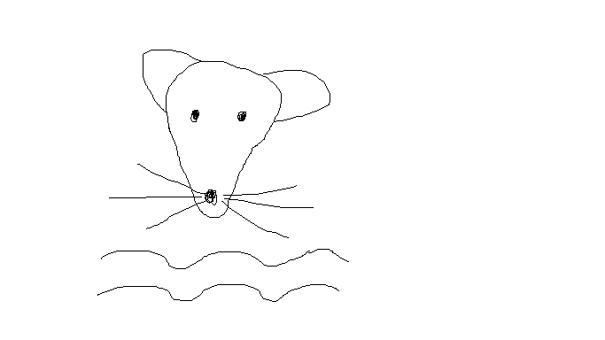 A rather poor drawing of a rat's head over two wiggly lines